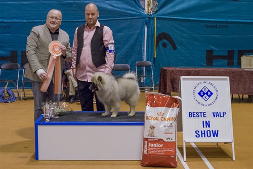 bis_valp_12 (1 of 1).jpg